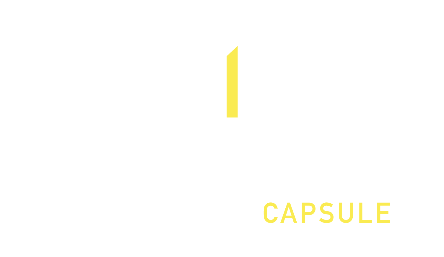 Capsule Hotels